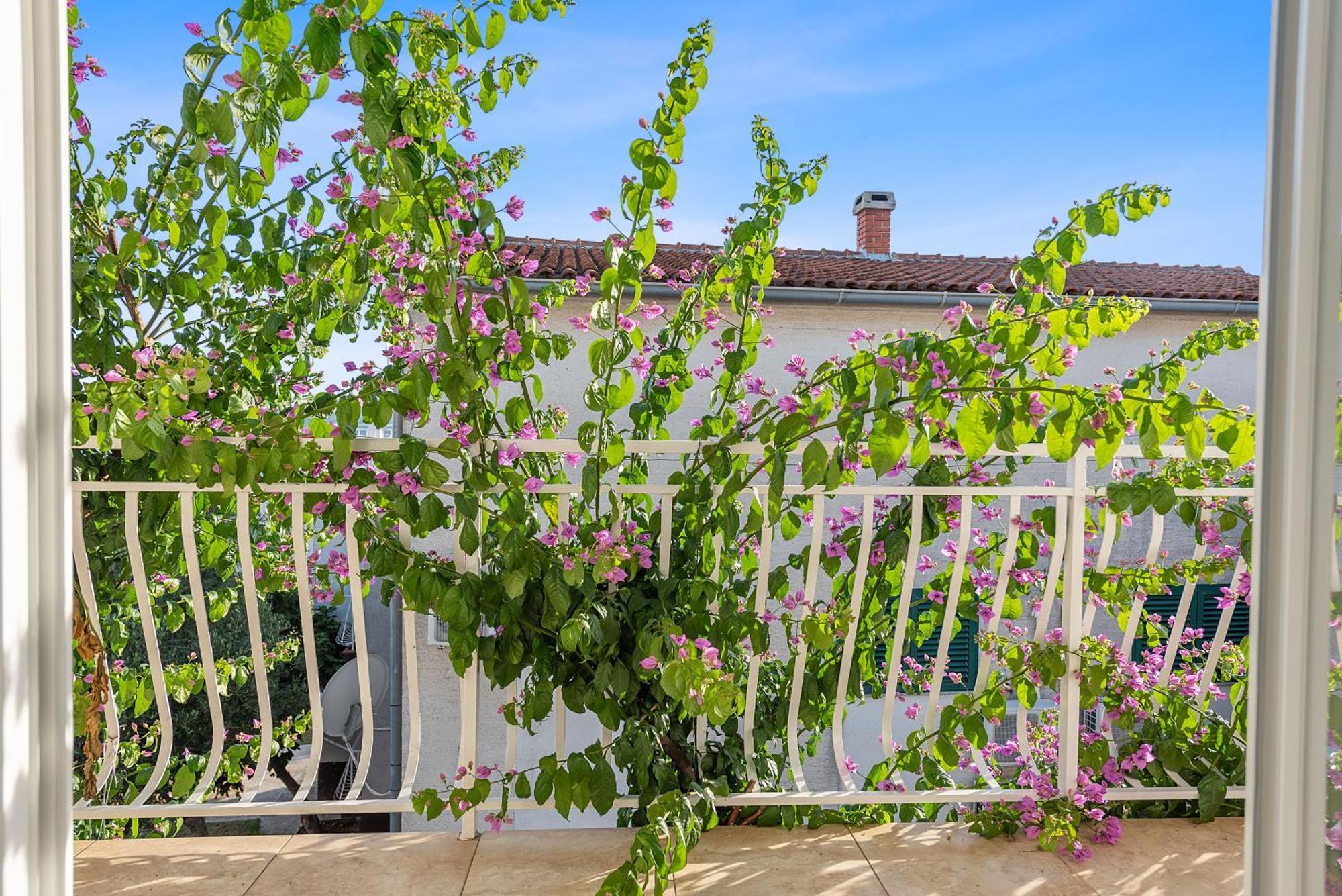 Apartman Petrina Sveti Filip i Jakov